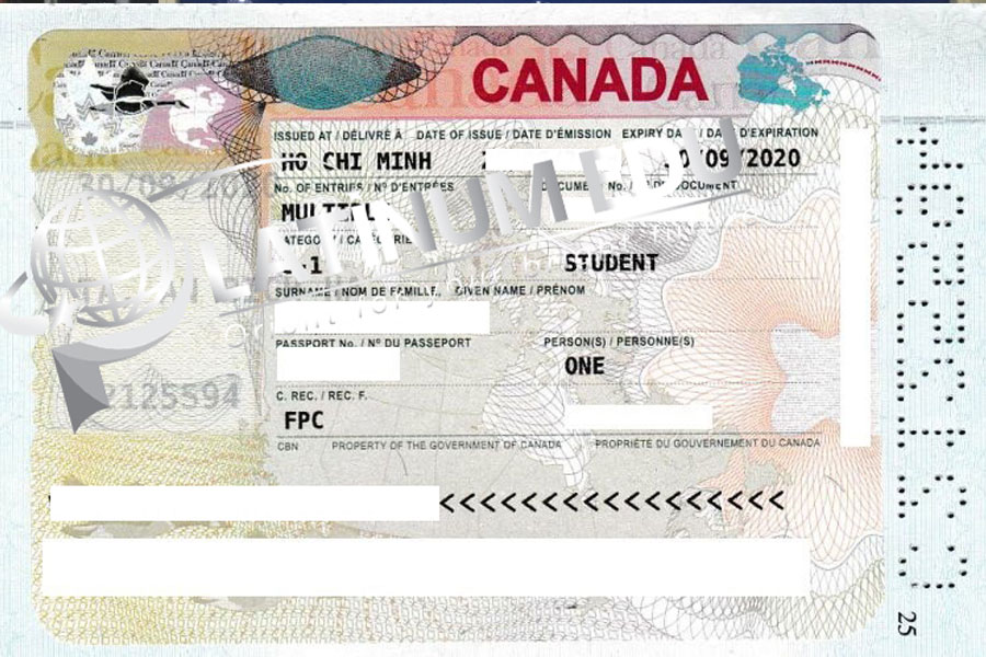 Visa du học Canada của khách hàng N.D.Linh
