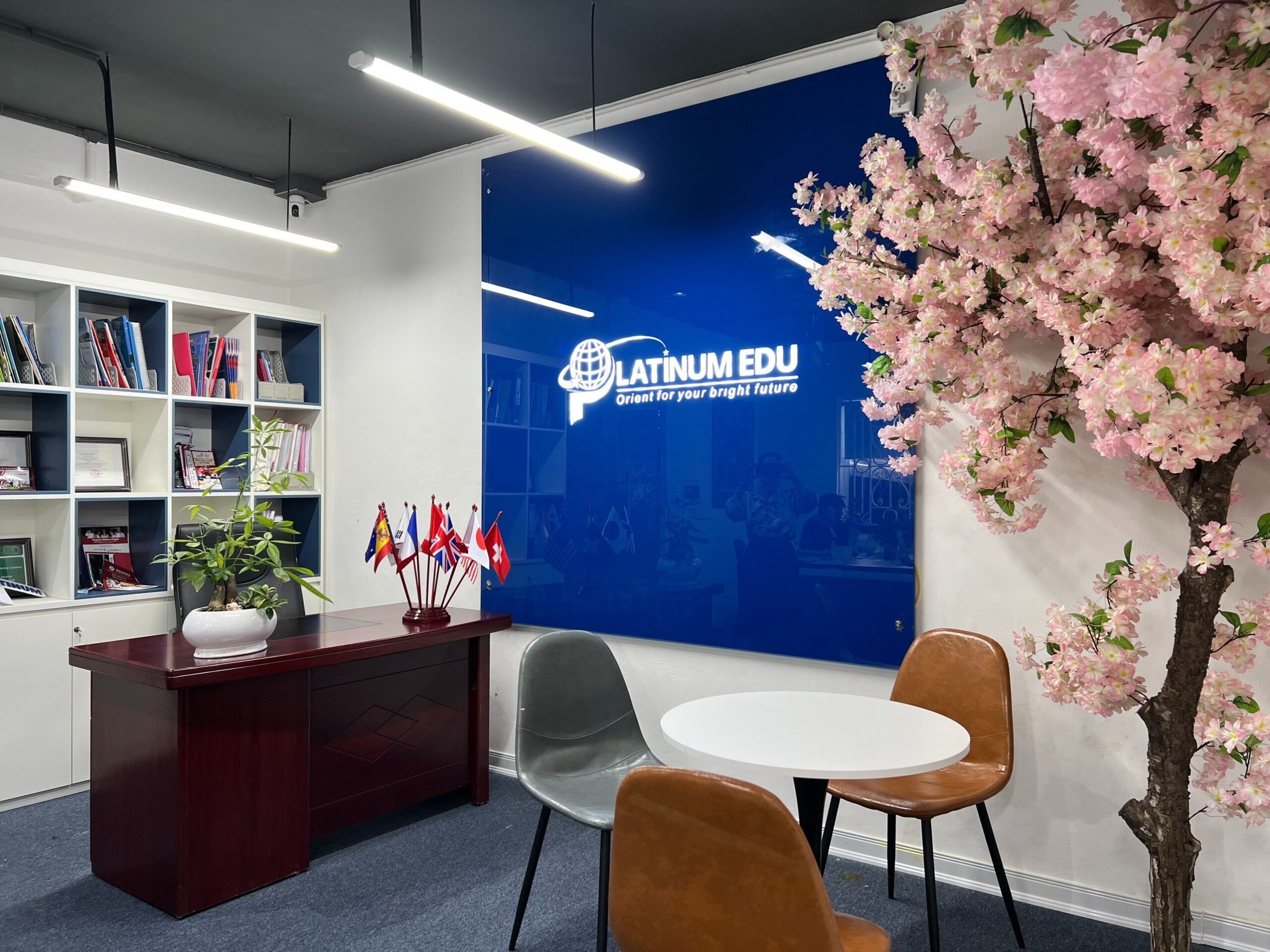 Văn phòng Platinum Edu - Đơn vị xử lý hồ sơ Visa Úc uy tín 